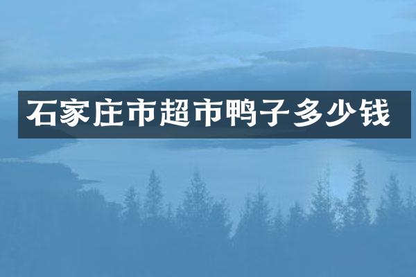 石家庄市超市鸭子多少钱