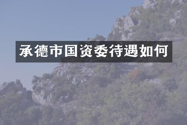 承德市国资委待遇如何