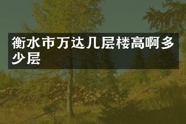 衡水市万达几层楼高啊多少层