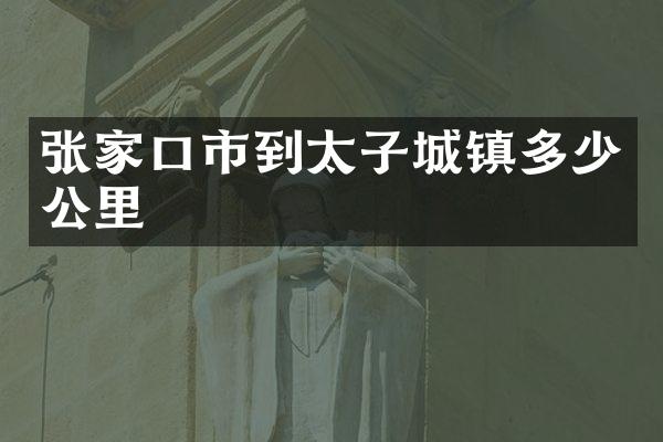 张家口市到太子城镇多少公里