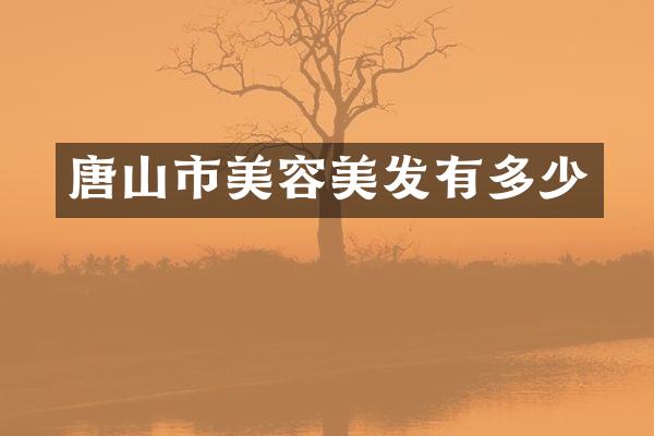 唐山市美容美发有多少