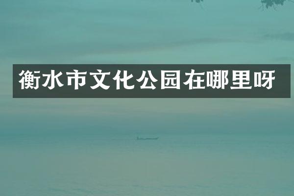 衡水市文化公园在哪里呀