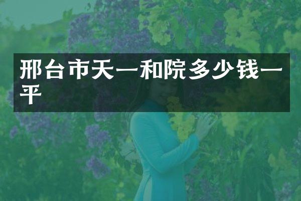 邢台市天一和院多少钱一平