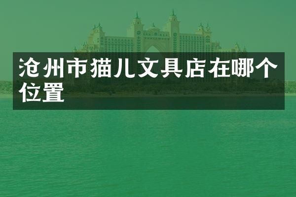沧州市猫儿文具店在哪个位置