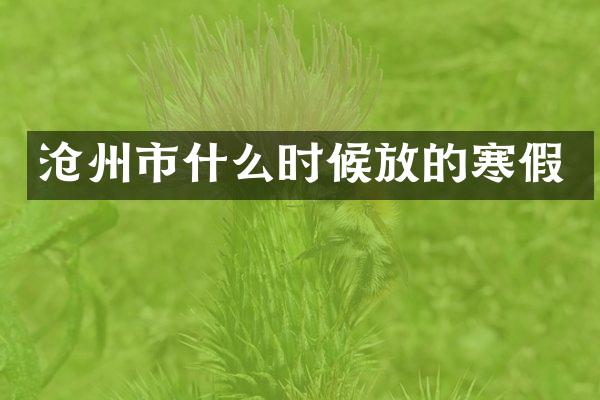 沧州市什么时候放的寒假