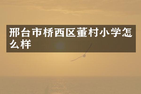 邢台市桥西区董村小学怎么样
