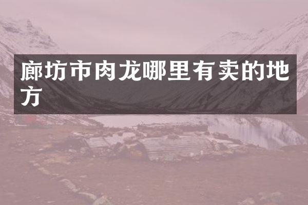 廊坊市肉龙哪里有卖的地方