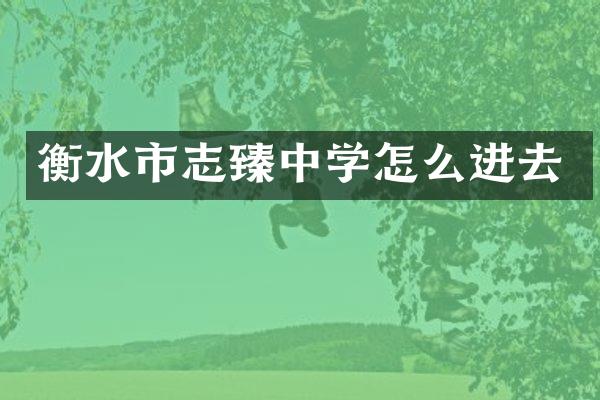 衡水市志臻中学怎么进去