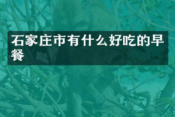 石家庄市有什么好吃的早餐