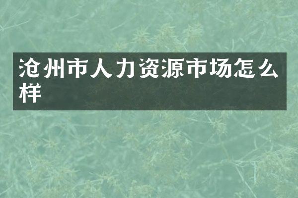 沧州市人力资源市场怎么样