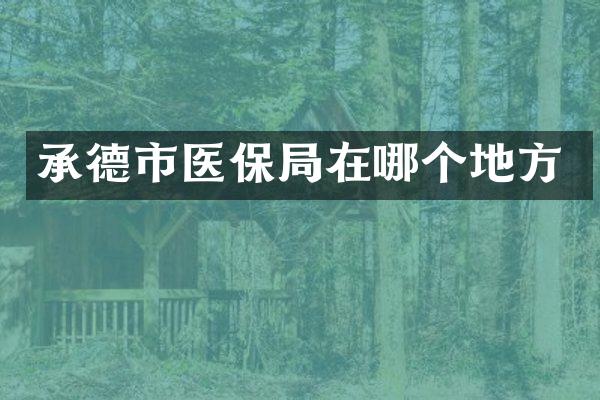 承德市医保局在哪个地方