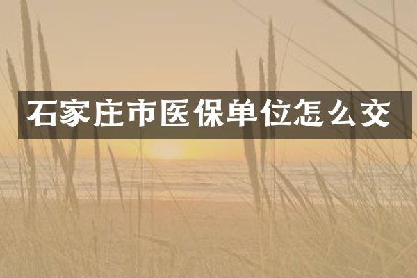 石家庄市医保单位怎么交