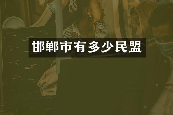 邯郸市有多少民盟