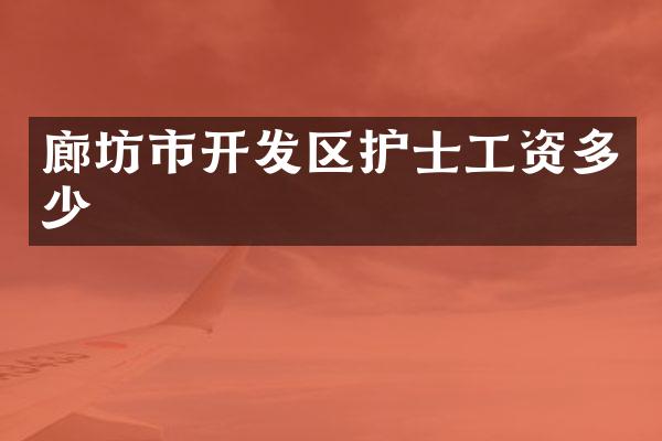 廊坊市开发区护士工资多少