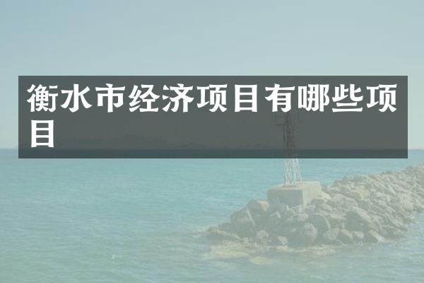 衡水市经济项目有哪些项目