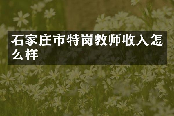 石家庄市特岗教师收入怎么样