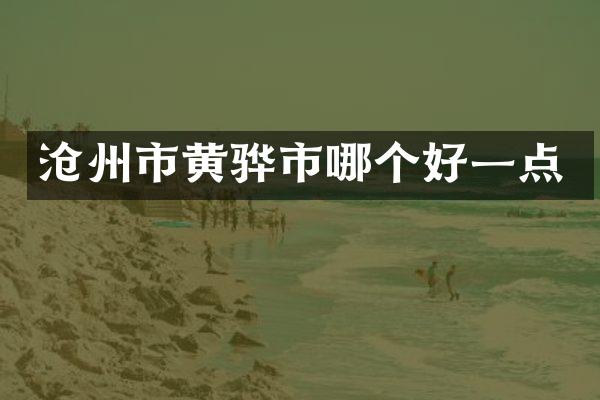 沧州市黄骅市哪个好一点