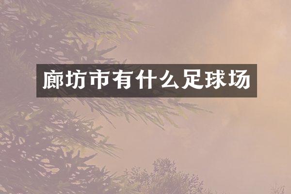 廊坊市有什么足球场