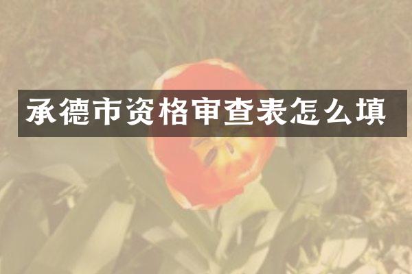 承德市资格审查表怎么填