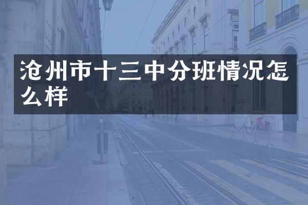 沧州市十三中分班情况怎么样