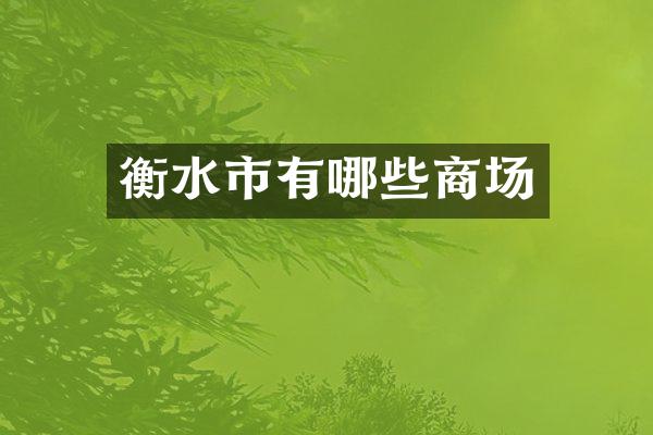 衡水市有哪些商场