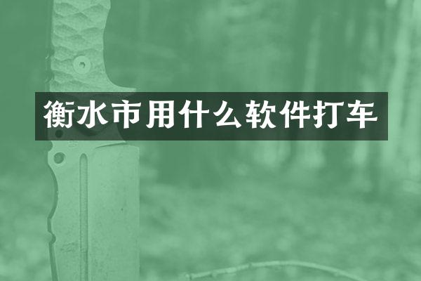 衡水市用什么软件打车