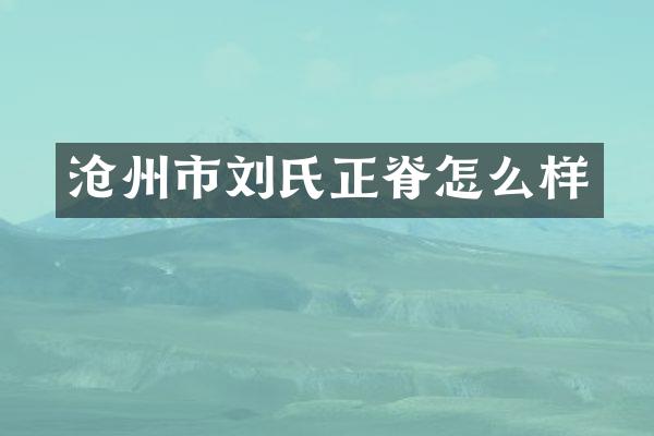 沧州市刘氏正脊怎么样