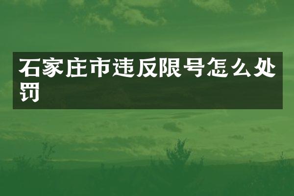 石家庄市违反限号怎么处罚