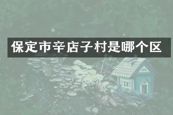 保定市辛店子村是哪个区