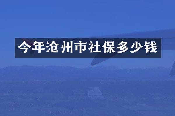 今年沧州市社保多少钱