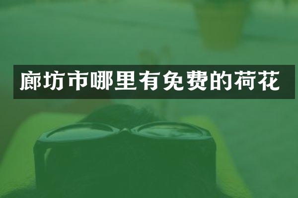 廊坊市哪里有免费的荷花