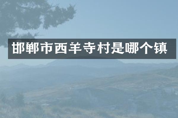 邯郸市西羊寺村是哪个镇