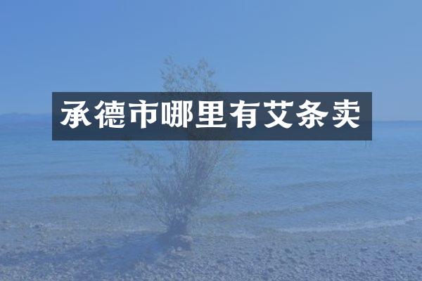 承德市哪里有艾条卖