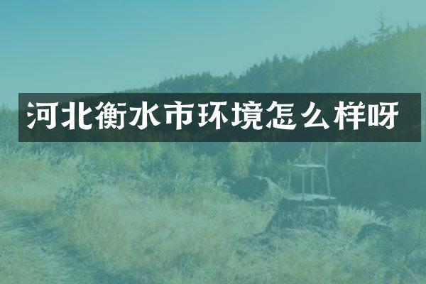 河北衡水市环境怎么样呀