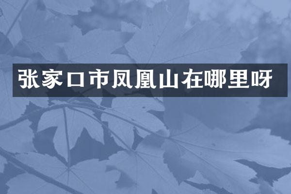 张家口市凤凰山在哪里呀
