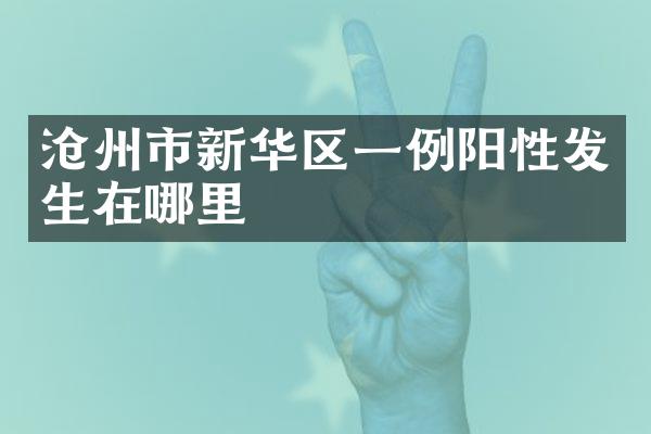 沧州市新华区一例阳性发生在哪里