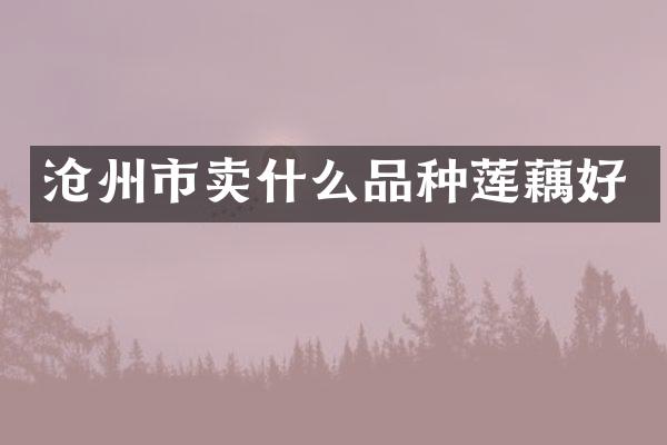 沧州市卖什么品种莲藕好