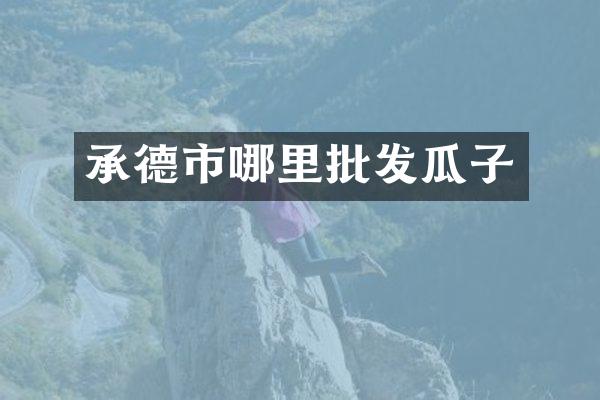 承德市哪里批发瓜子