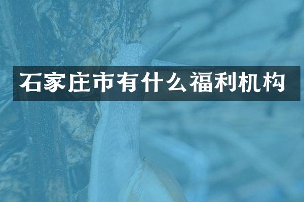 石家庄市有什么福利机构