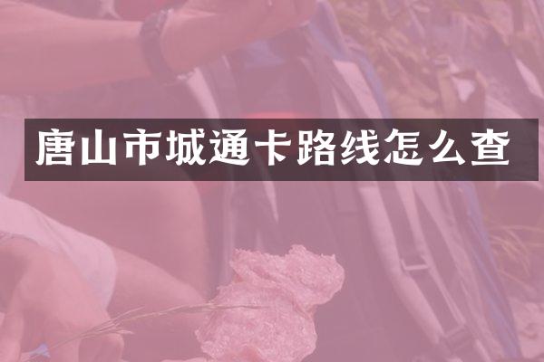 唐山市城通卡路线怎么查
