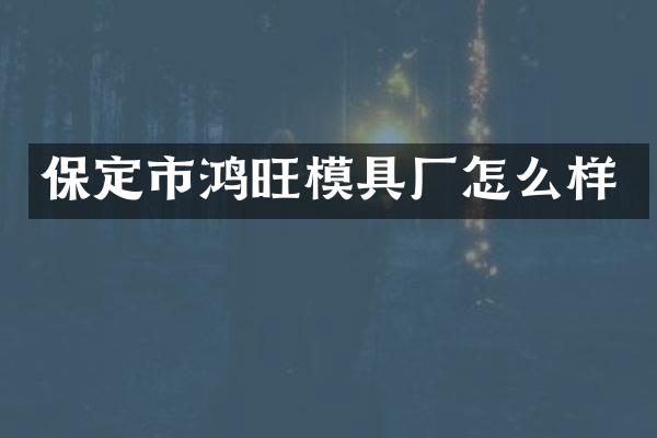 保定市鸿旺模具厂怎么样