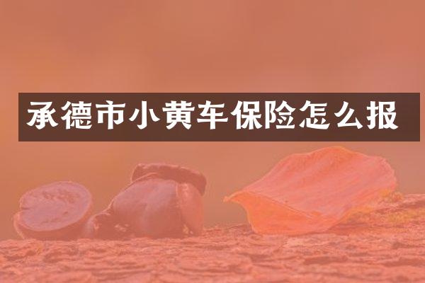 承德市小黄车保险怎么报