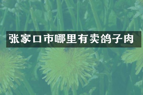 张家口市哪里有卖鸽子肉
