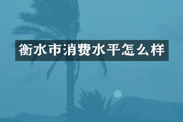 衡水市消费水平怎么样
