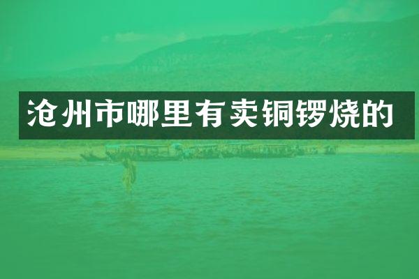 沧州市哪里有卖铜锣烧的