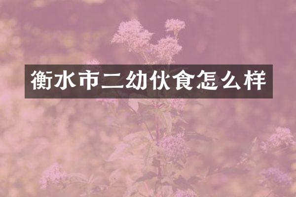 衡水市二幼伙食怎么样