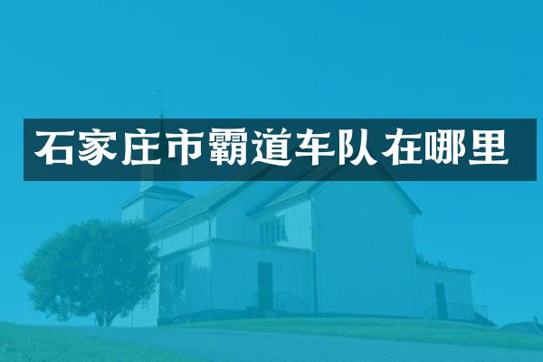 石家庄市霸道车队在哪里