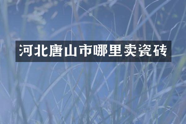 河北唐山市哪里卖瓷砖