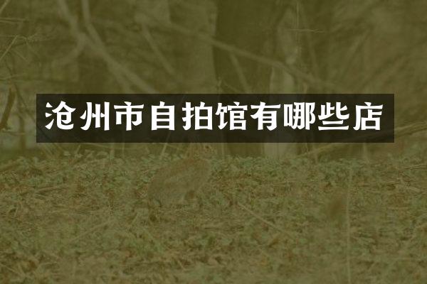 沧州市自拍馆有哪些店