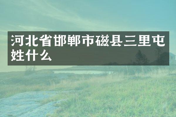 河北省邯郸市磁县三里屯姓什么